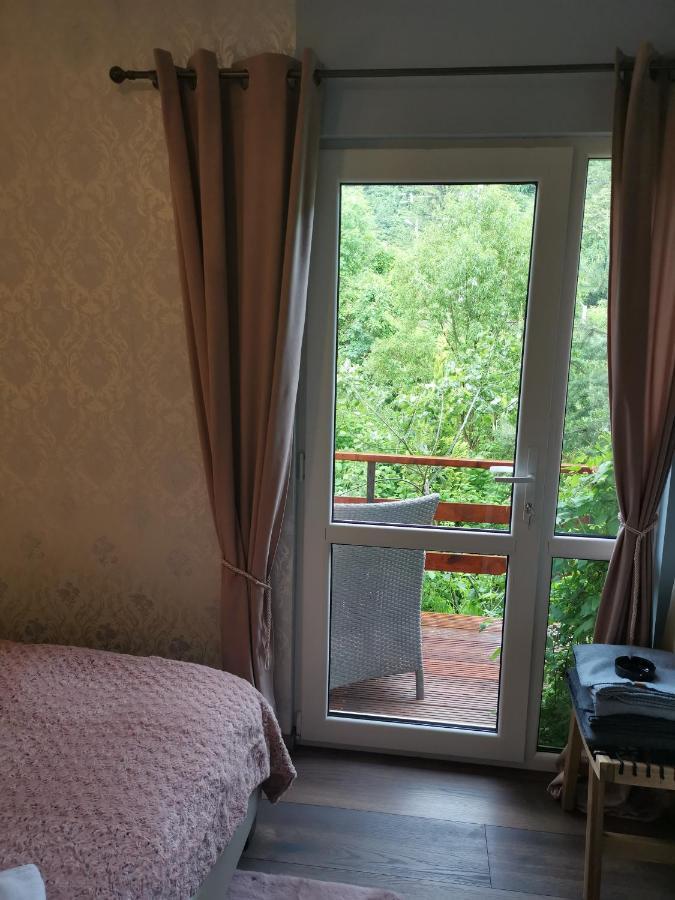 Chic Boutique Apart Sinaia Buitenkant foto